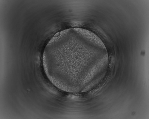 X0000101140655200807181256