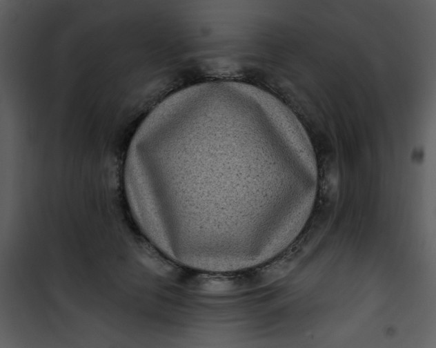 X0000101140658200807181256