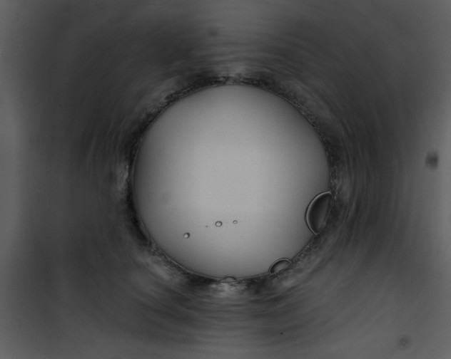 X0000101140660200807181256