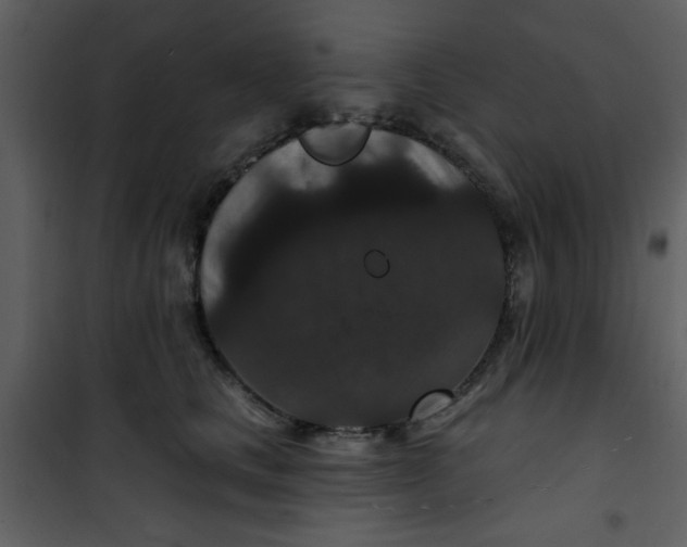 X0000101140661200807181256