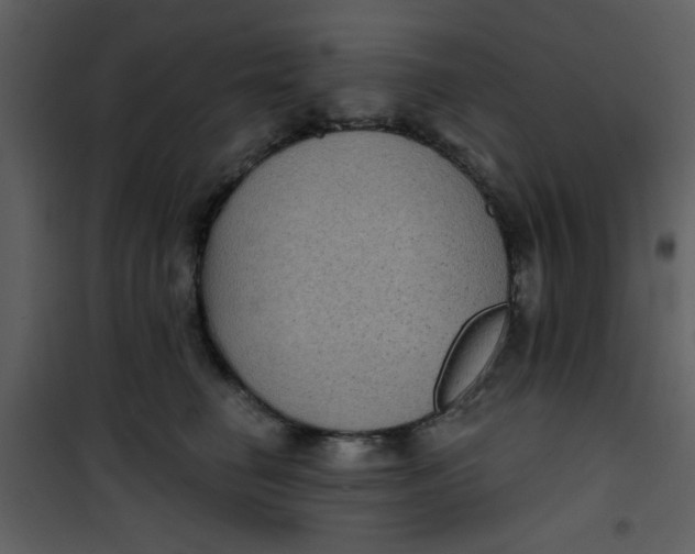 X0000101140662200807181256