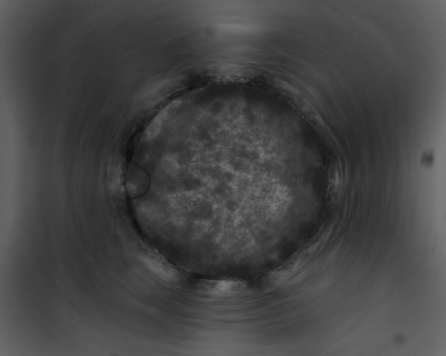 X0000101140663200807181256