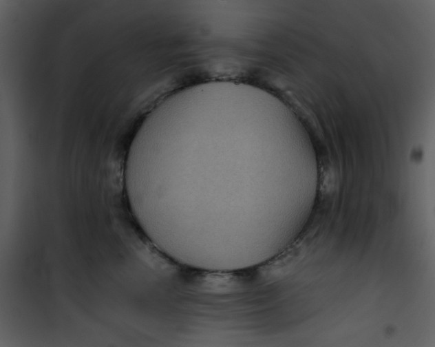 X0000101140666200807181256