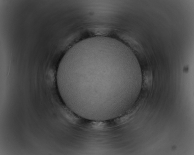 X0000101140667200807181256