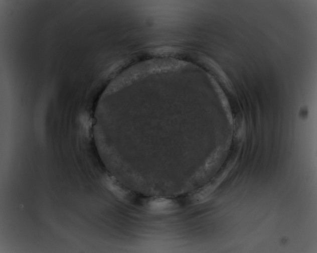 X0000101140669200807181256