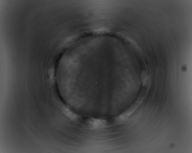 X0000101140670200807181256