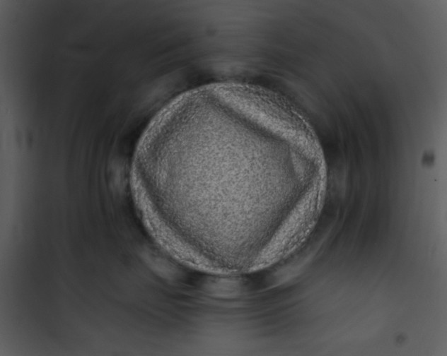 X0000101140671200807181256