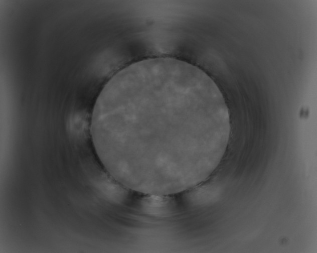 X0000101140672200807181256