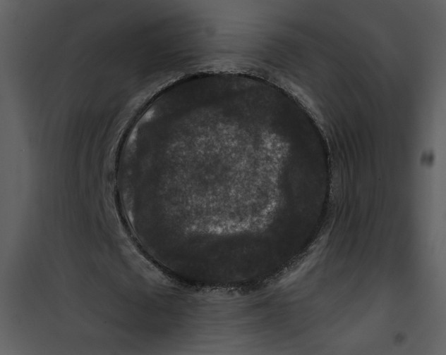 X0000101140673200807181255