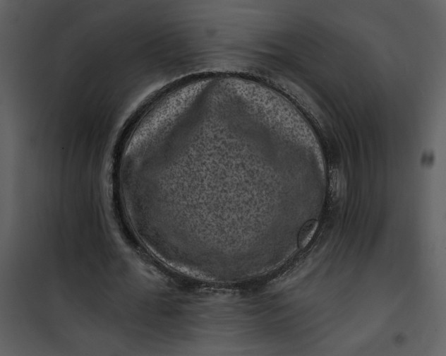 X0000101140676200807181255