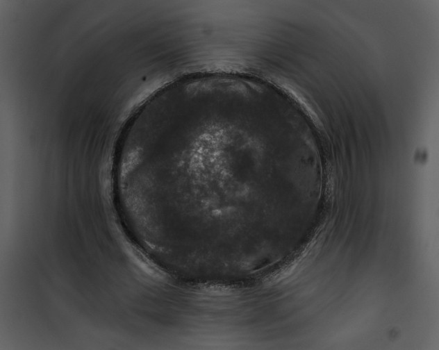 X0000101140677200807181255