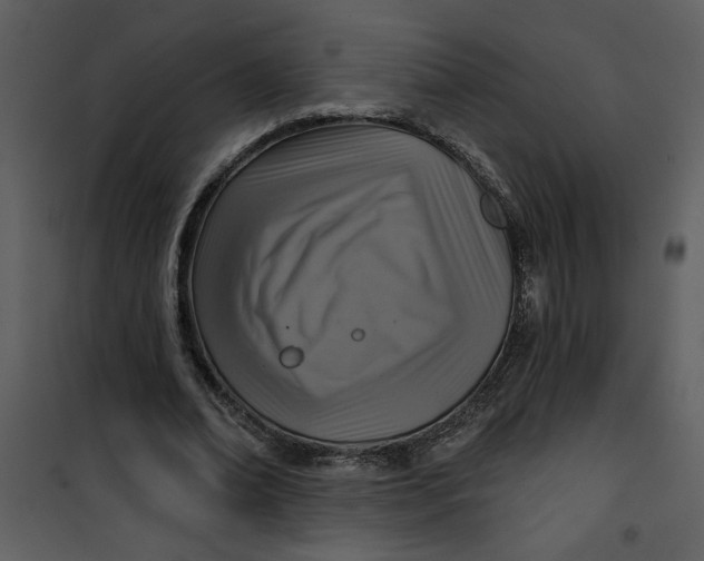 X0000101140678200807181255