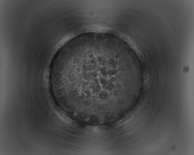 X0000101140679200807181255