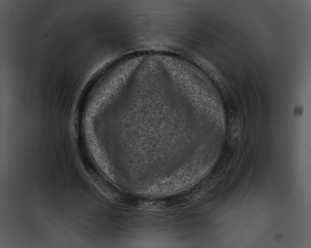 X0000101140680200807181255