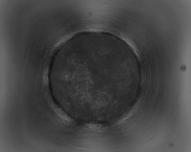 X0000101140681200807181255