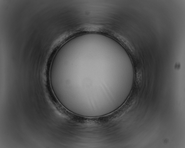 X0000101140682200807181255