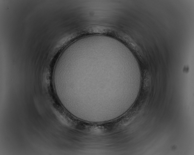 X0000101140683200807181255