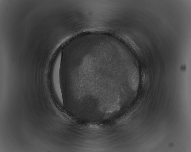 X0000101140684200807181255