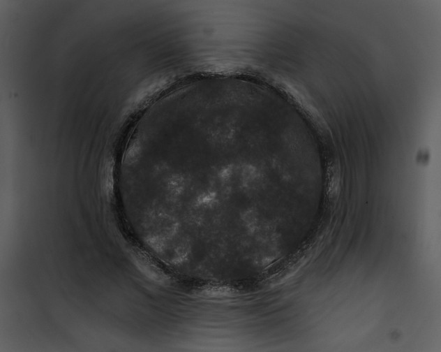 X0000101140685200807181255