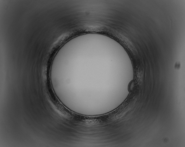 X0000101140686200807181255