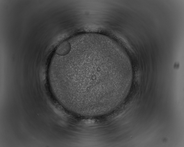 X0000101140687200807181255