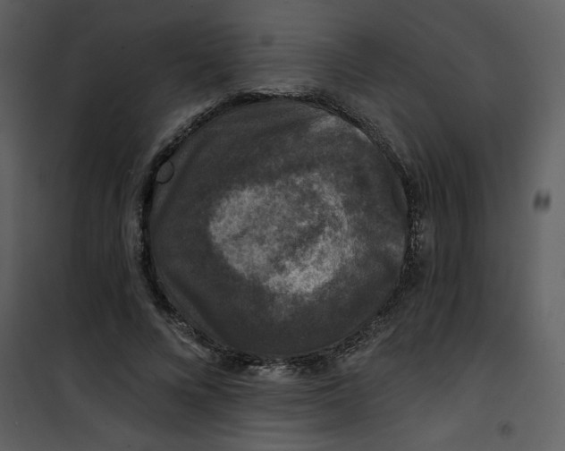 X0000101140688200807181255