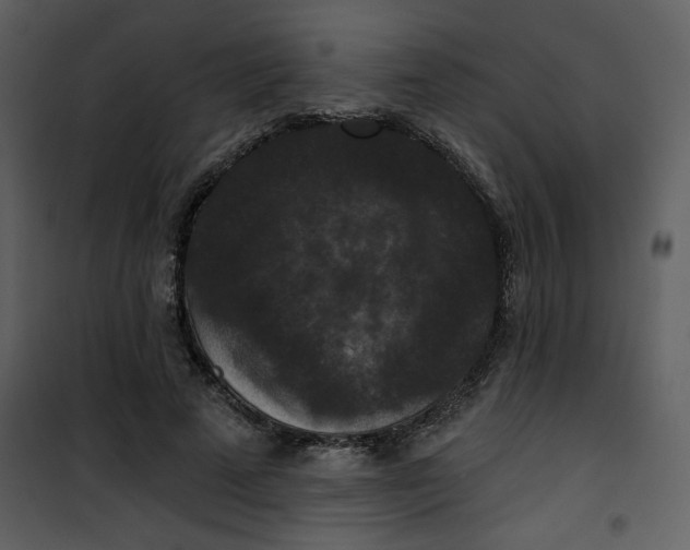 X0000101140689200807181255