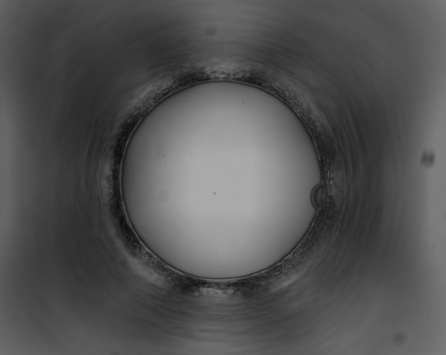 X0000101140690200807181255