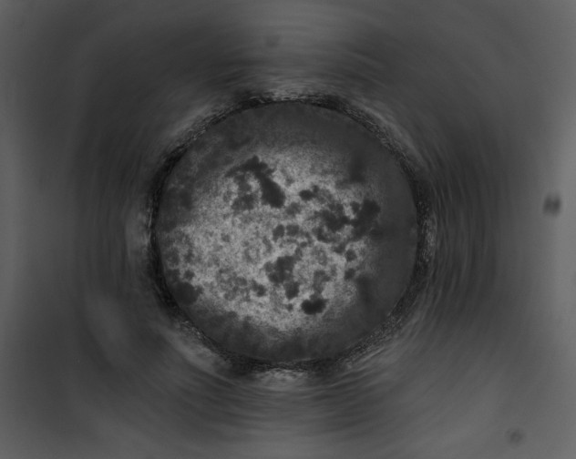 X0000101140691200807181255