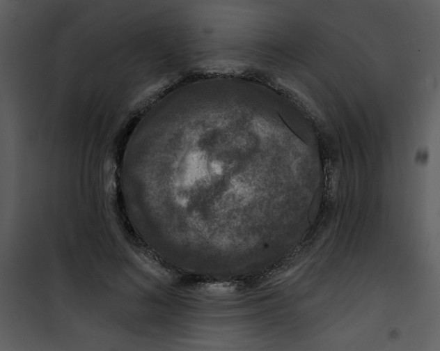 X0000101140692200807181255