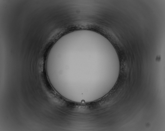 X0000101140694200807181255