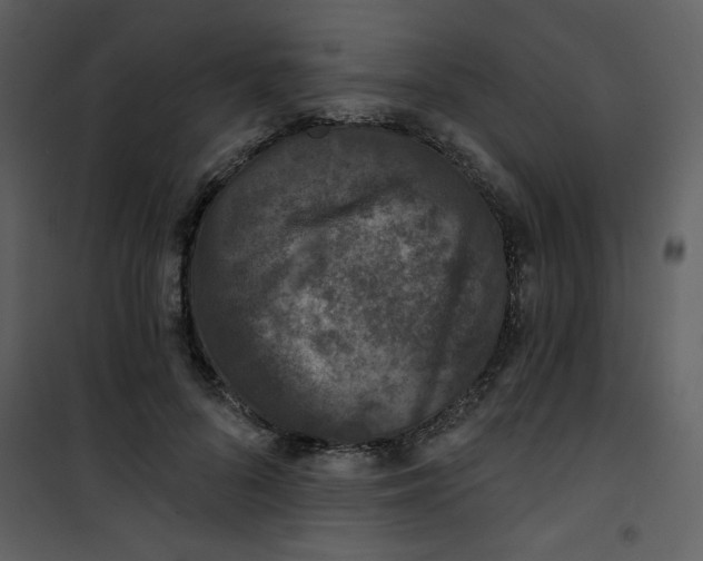 X0000101140696200807181255