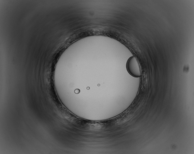 X0000101140698200807181255