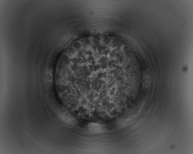 X0000101140699200807181255