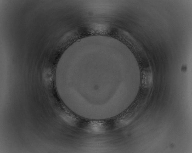 X0000101140701200807181255