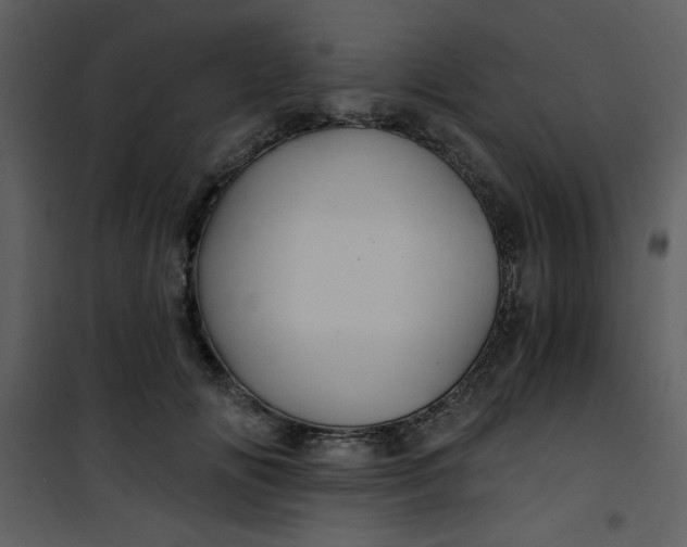 X0000101140702200807181255