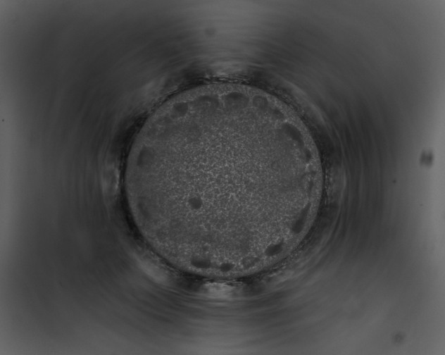 X0000101140703200807181255