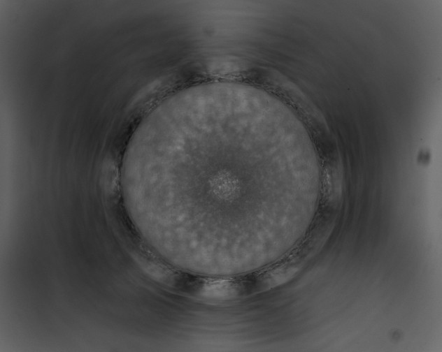 X0000101140705200807181255