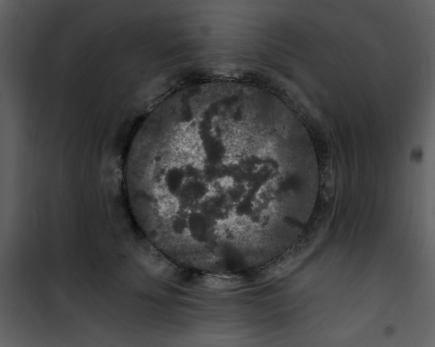 X0000101140707200807181255