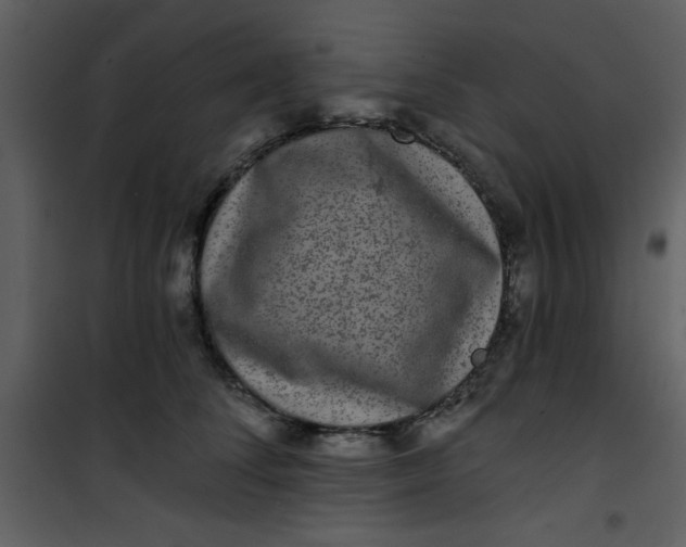 X0000101140708200807181255