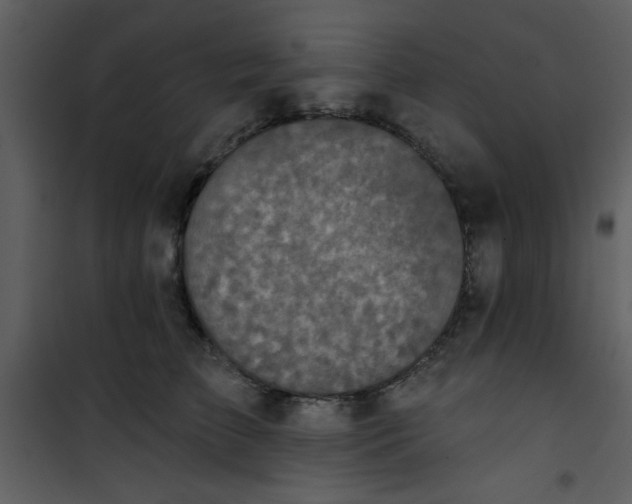 X0000101140709200807181255