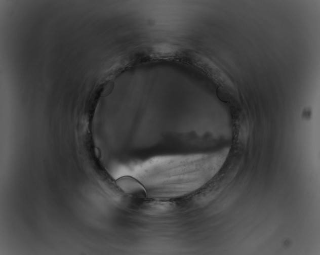 X0000101140711200807181255