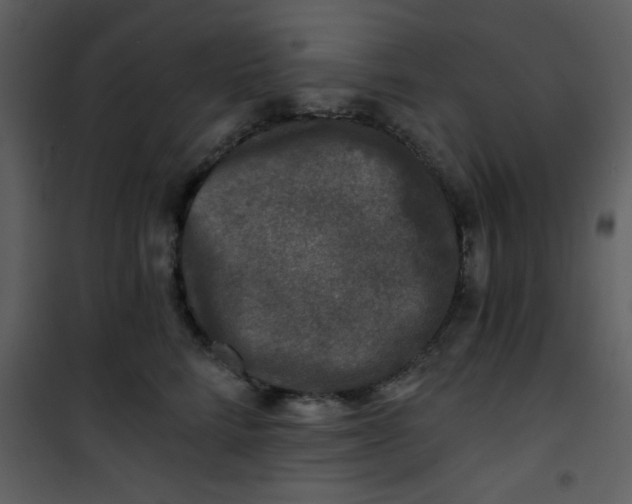 X0000101140712200807181255