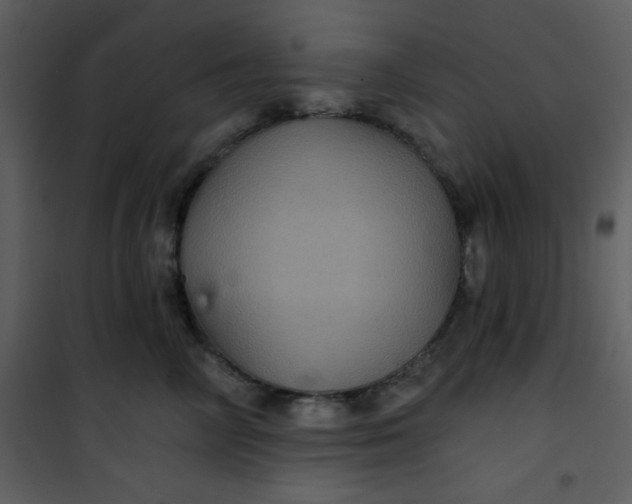 X0000101140714200807181255