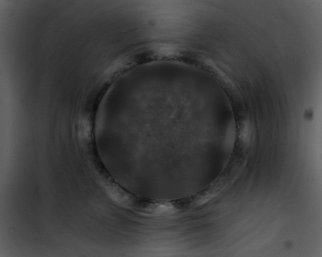 X0000101140715200807181255