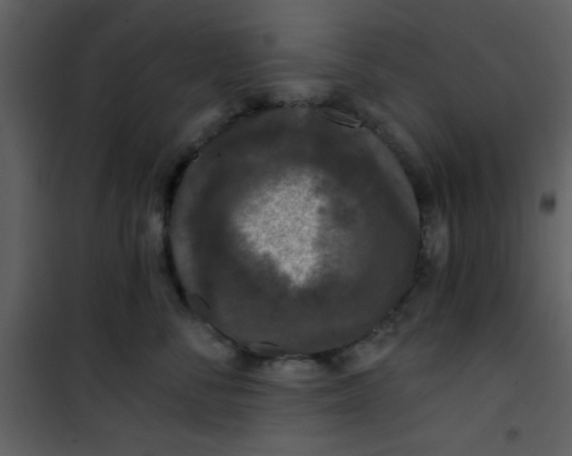 X0000101140716200807181255