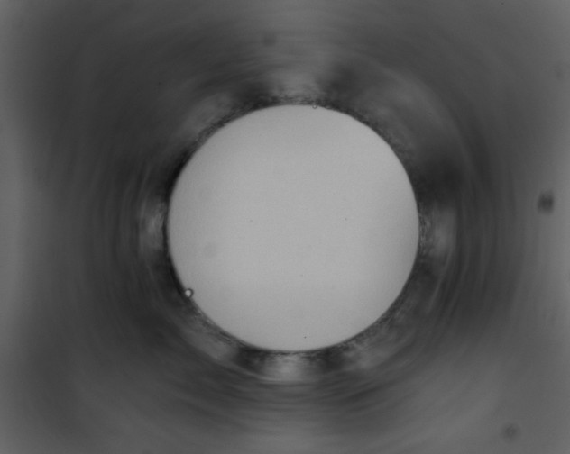 X0000101140717200807181255