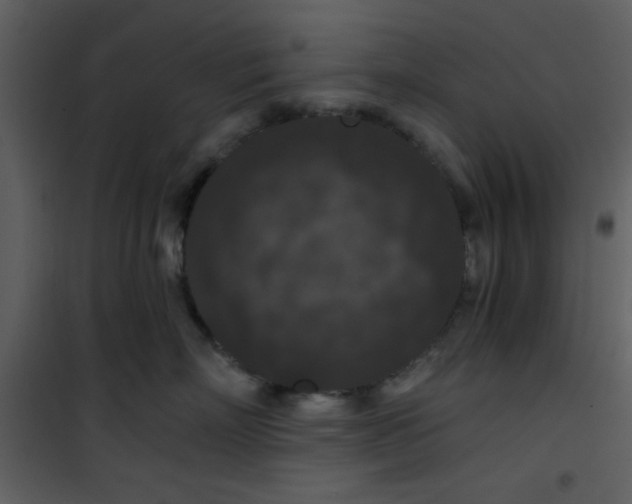 X0000101140718200807181255