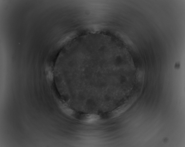 X0000101140719200807181255