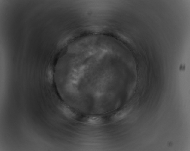 X0000101140720200807181255